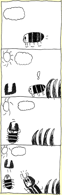 �悳������