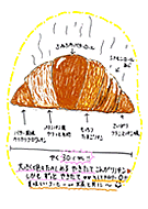 �p���D���̃p��